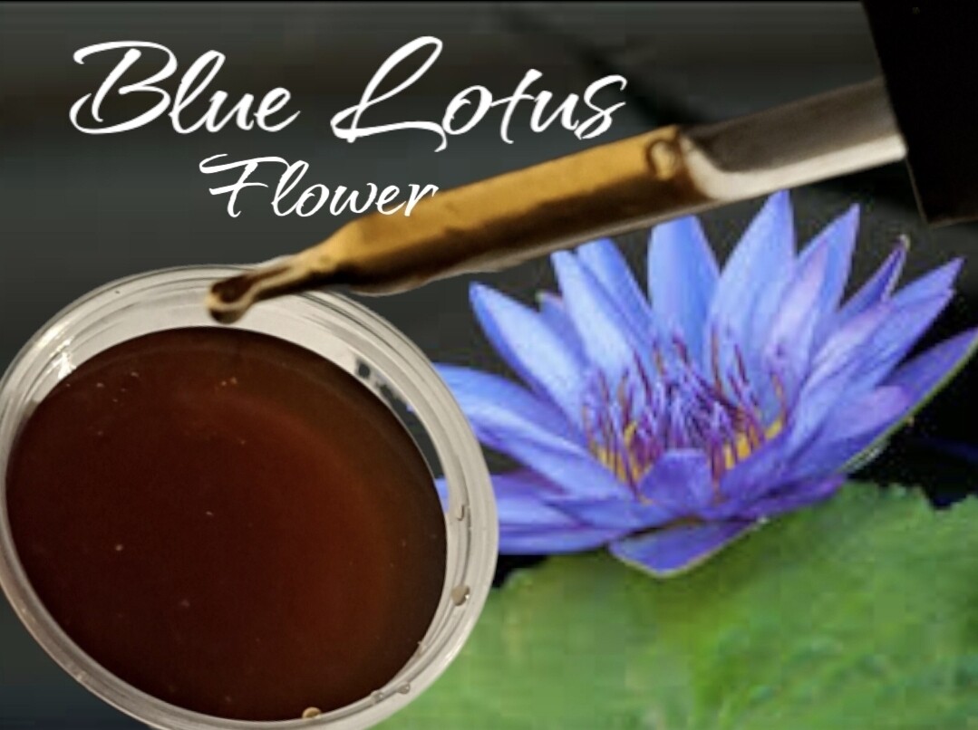 Blue Lotus Flower Tincture ~ PADMA RAO 30ml