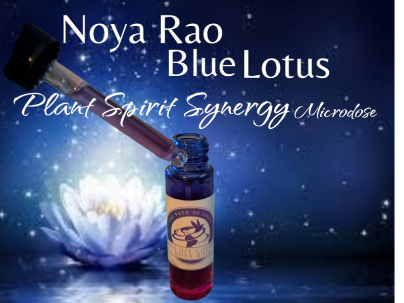 Noya Rao x Padma Rao (Blue Lotus) Plant Spirit  Synergy M-D