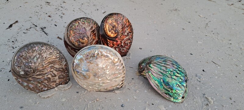 The Elements sacred shell Smudge Collection