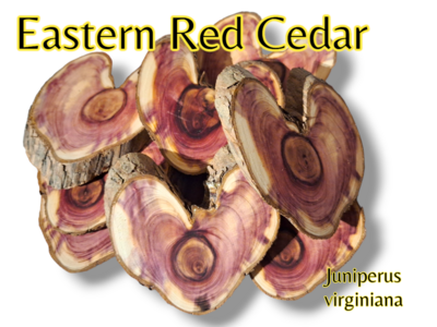 Eastern Red Cedar Smudge &amp; Heart Altar Set ~ Juniperus virginiana