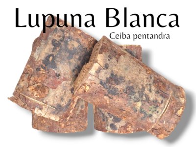 Lupuna Blanca Living Root Bark Slab ~ Ceiba pentandra ~ dieta/alter
