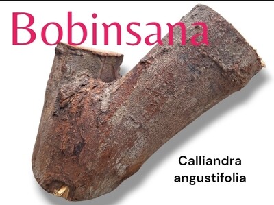 Bobinsana log ~ Calliandra angustifolia ~ peru. FRESH!!!