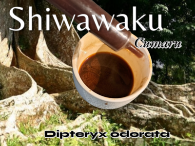 Shiwawaku ~ Cumaru •Dipteryx odorata root bark extract•