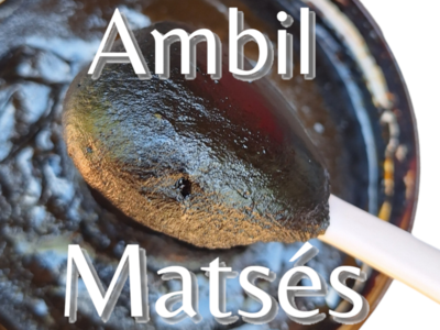 Ambil ~Matsés~