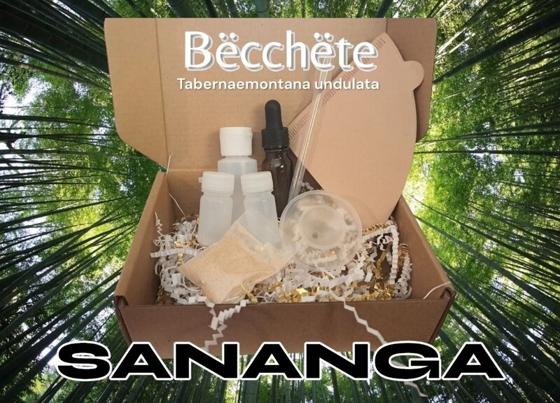 Sananga Kit DIY  ~Bëcchëte~ Tabernaemontana undulata