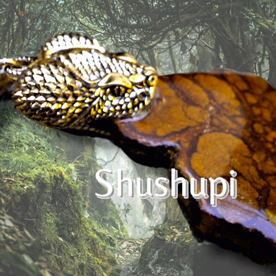 Sacred Serpent: Ayahuasca Vine Pendant with Shushupi Guardian
