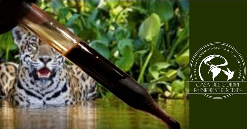 The MotherVine Cielo Microextract