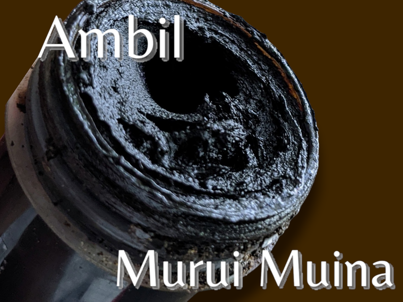 AMBIL    Huitito -  Matsés - Boro