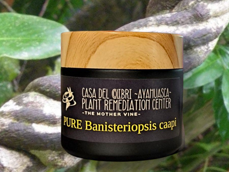 Banisteriopsis caapi paste ~ Pure cielo Mothervine 50x