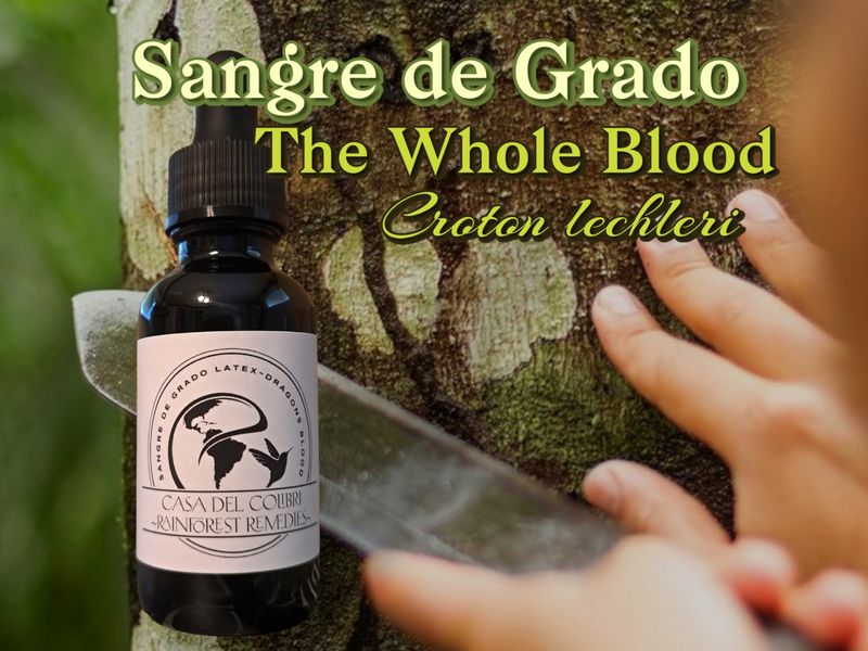Sangre de Grado ~ The Whole/Full Blood ~ &quot;dragons blood&quot;