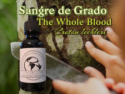 Sangre de Grado ~ The Whole/Full Blood ~ &quot;dragons blood&quot;