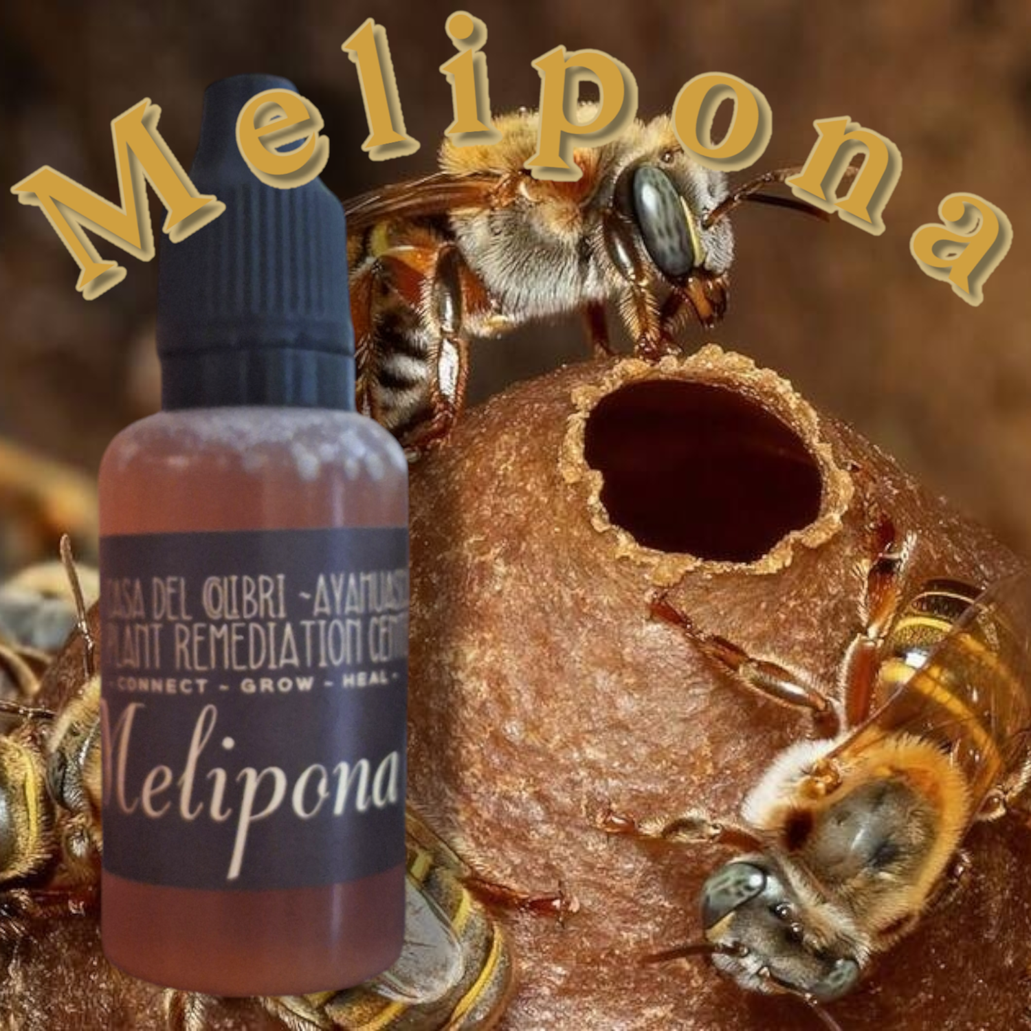 Melipona Serena