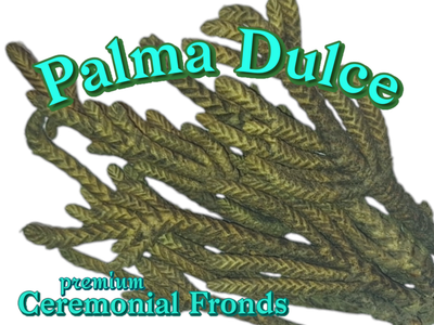 Palma Dulce ~Rare Ceremonial Essence Fronds~ 30grams