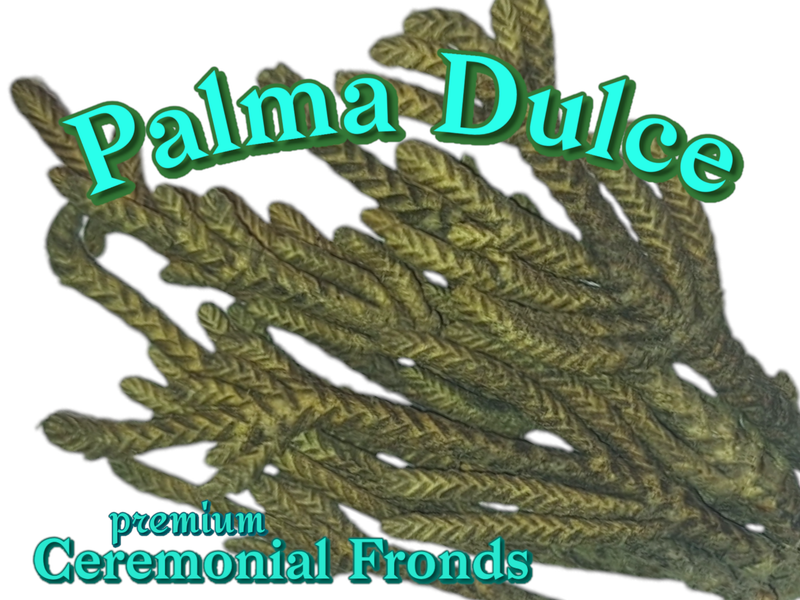 Palma Dulce ~Ceremonial Essence Fronds~ Peruvian Sweet Palm 6gr