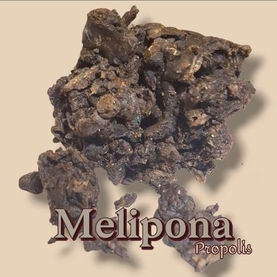 Melipona Propolis - wild harvest~ pure and raw