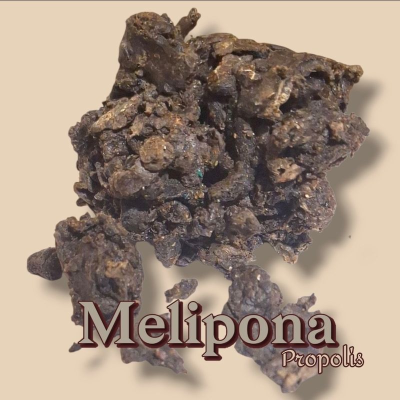 Melipona Propolis - wild harvest~ pure and raw