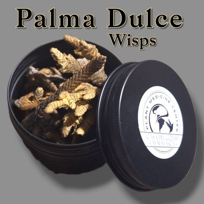 Palma Dulce Wisps