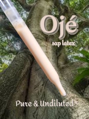 Ojé Purg Sap Latex - pure undiluted!!