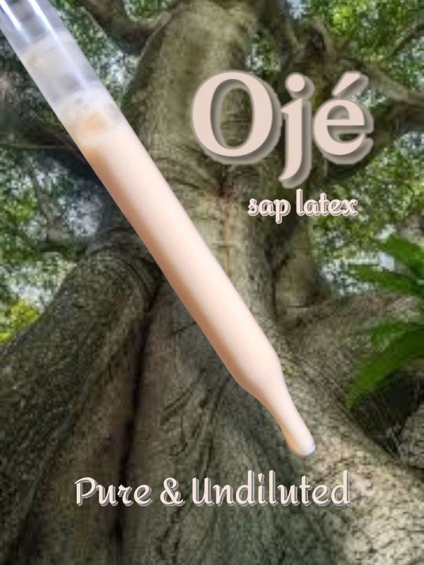Ojé Purg Sap Latex - pure undiluted!!