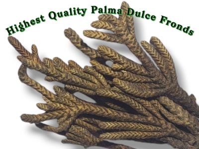 Palma Dulce ~ Highest Quality Ceremonial Essence Fronds