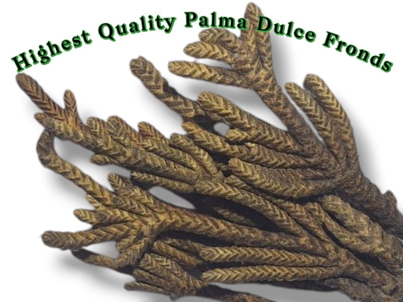 Palma Dulce ~ Highest Quality Ceremonial Essence Fronds