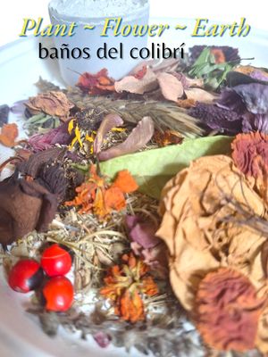 Baños del Colibri ~ The Hummingbird Bath