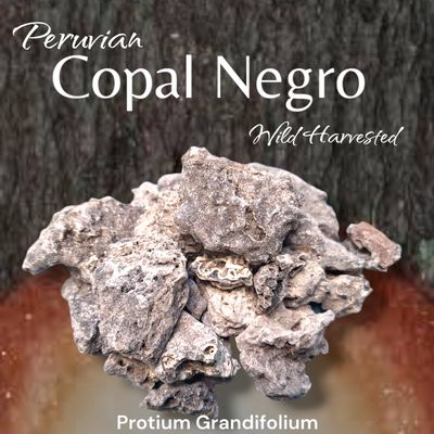 Peruvian Copal Negro ~Wild Harvested ~ Ceremonial Saumerio