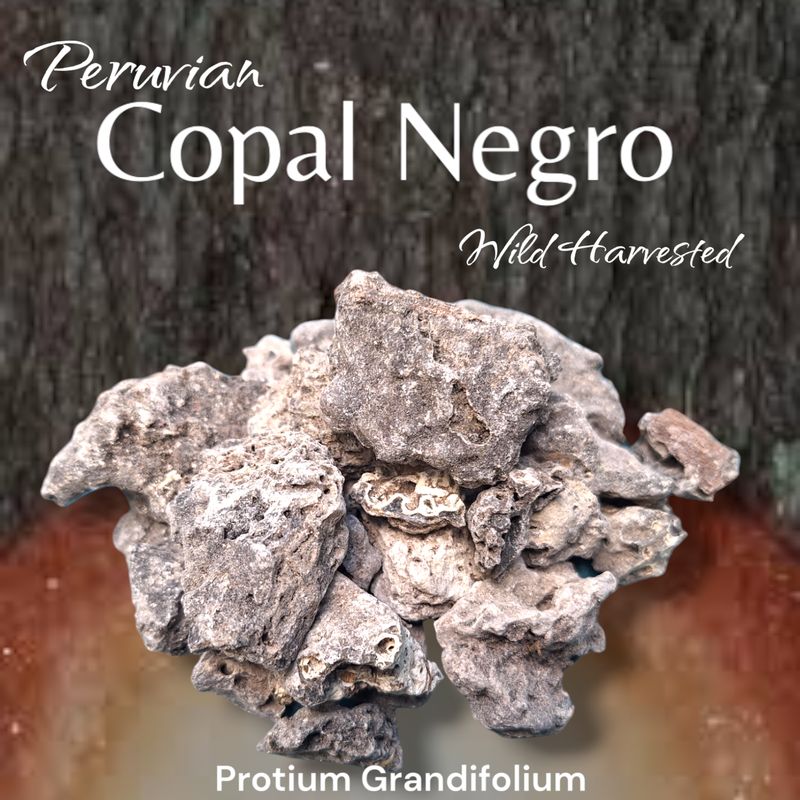 Peruvian Copal Negro ~Wild Harvested ~ Ceremonial Saumerio
