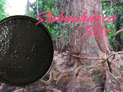 Shihuahuaco 30x paste 100 gr Dipteryx micrantha 