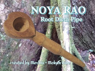 Noya Rao  - Palo Valadora