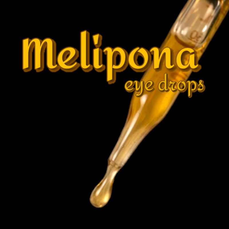 Wild Peruvian Melipona Honey Drops- Maxima