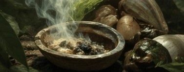 Ceremonial Aromatics Burners  Shells Copaleras