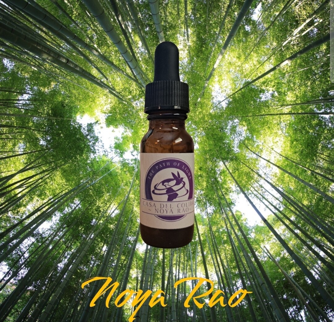NOYA RAO Mother Vine Synergy microextract 30ml