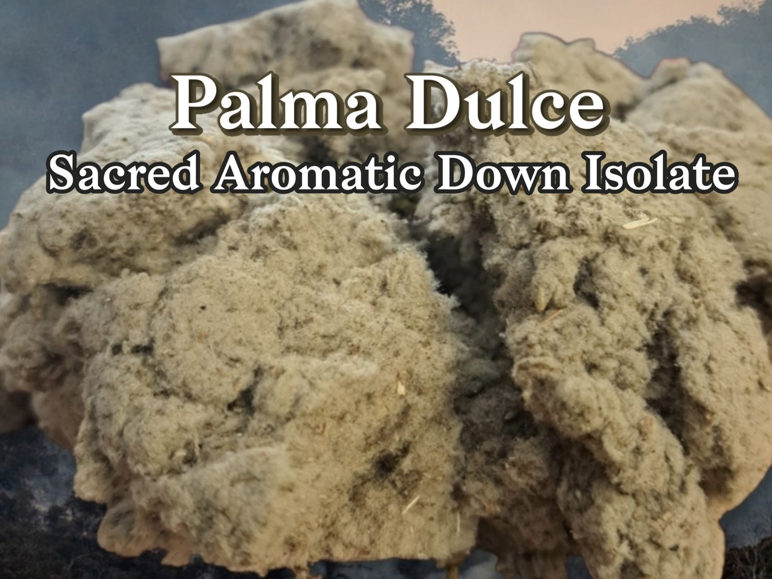 Palma Dulce ~ Sacred Aromatic Down Isolate