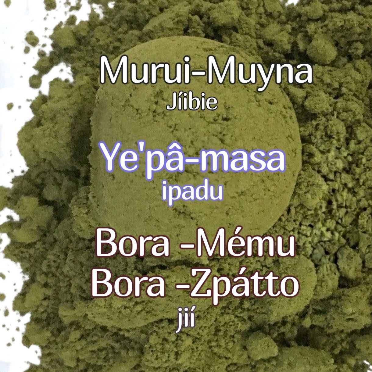 Rainforest Superfoods 