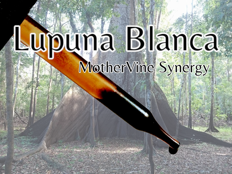 Lupuna Blanca MotherVine Synergy