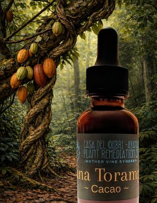 Bana Torampi - Cacao Mother Vine Synergy