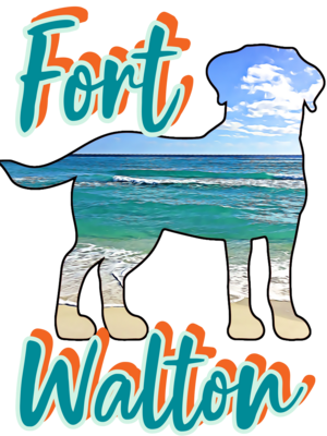 Fort Walton (front only) Unisex T