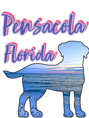 Pensacola (front only) Unisex T