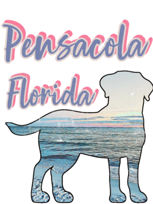 Pensacola Vintage-Look (front only) Unisex T