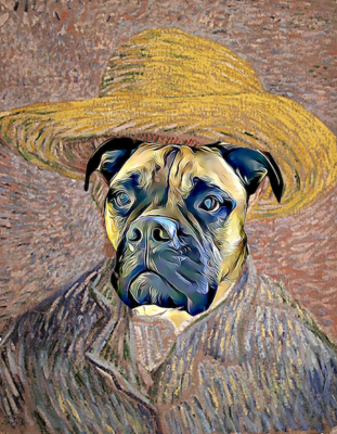 Van Gogh-ish Canvas
