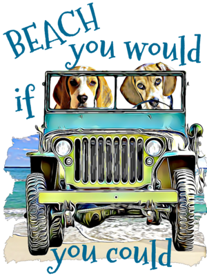 BEACH Beagles
