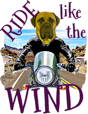WIND Unisex t-shirt