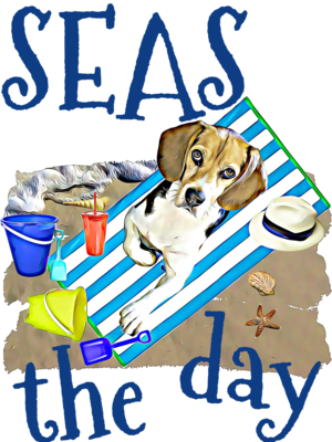 SEAS Beagle