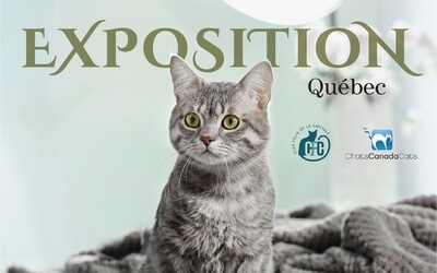*Exposition féline de Québec (April 6 and 7, 2024)