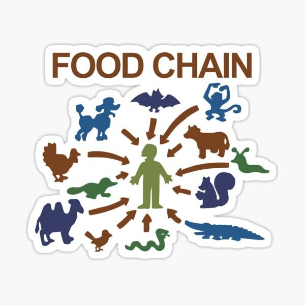 The Food Chain Sticker