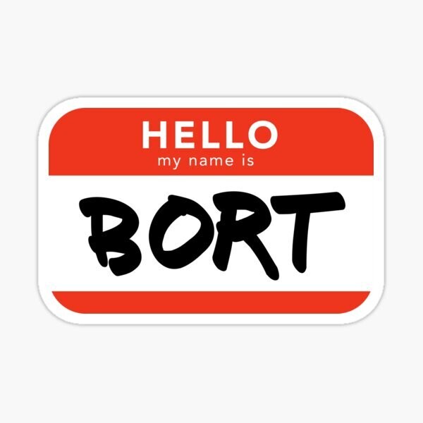 Hello My name is also Bort Sticker