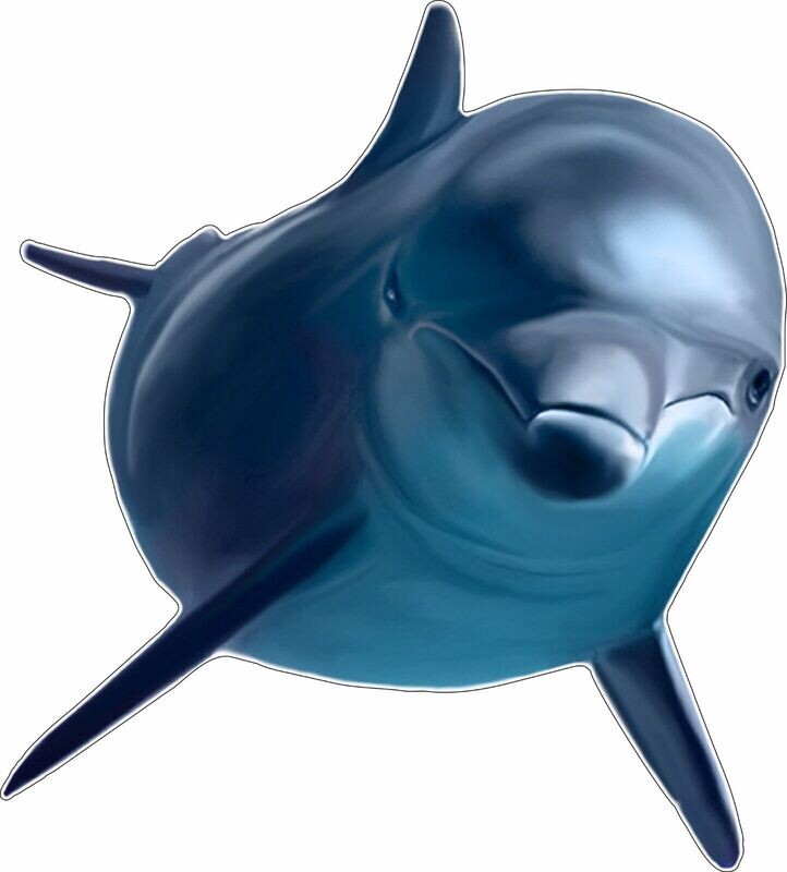 Dolphin Real Sticker
