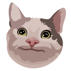 Kitty face Sticker