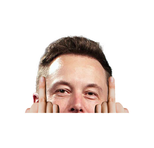 Elon Peeking Sticker